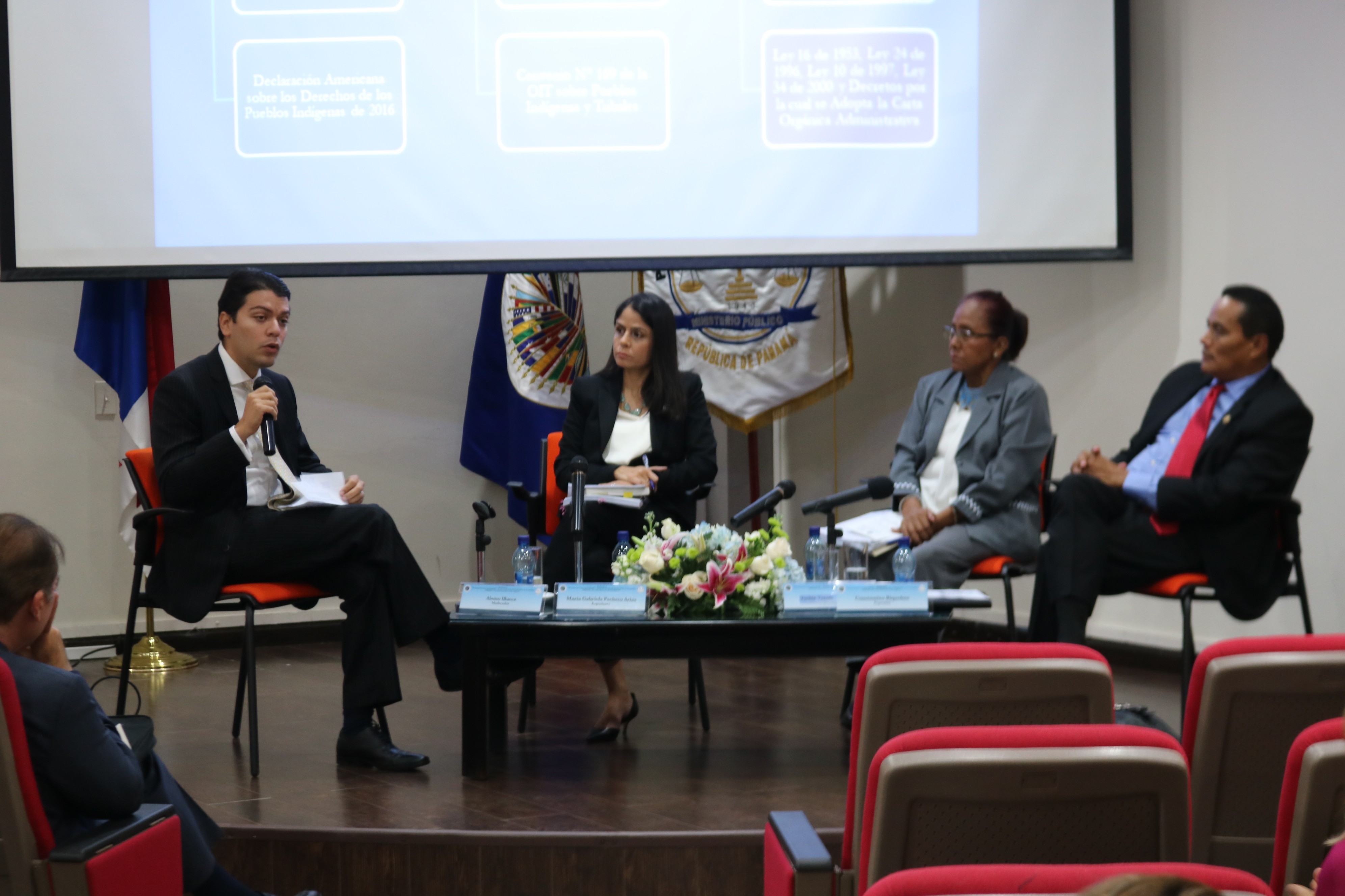 Lee más sobre el artículo Panel sobre “Protección de los Pueblos Indígenas y Derechos humanos de las mujeres”